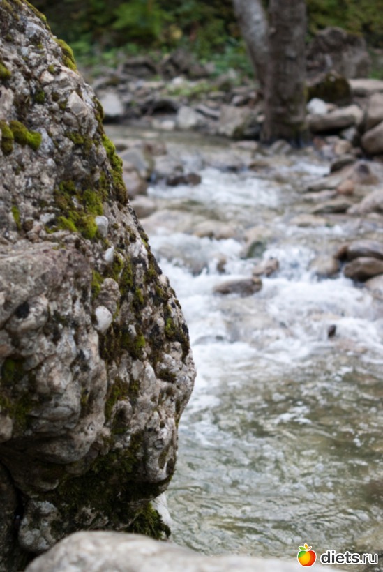 46 ����: �������������