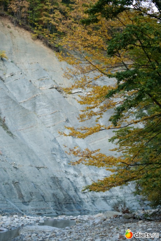 47 ����: �������������