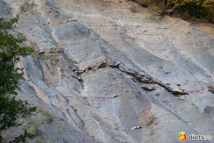 48 ����: �������������