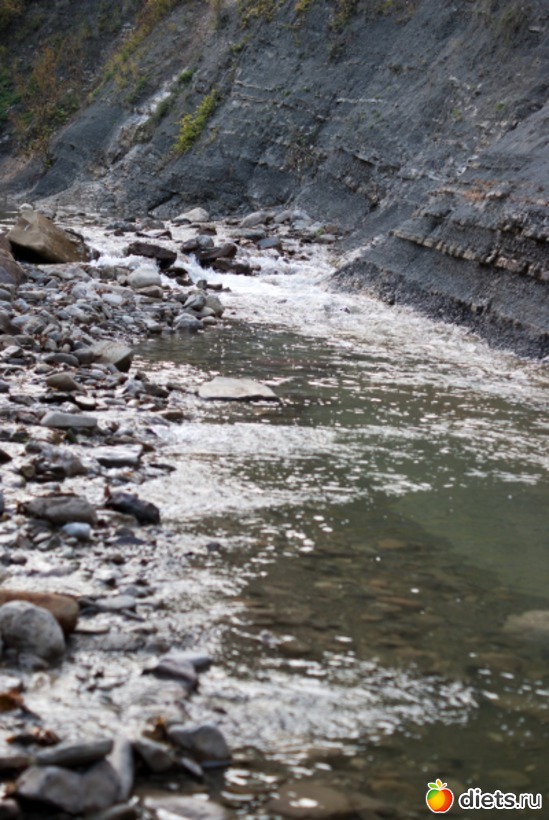 50 ����: �������������