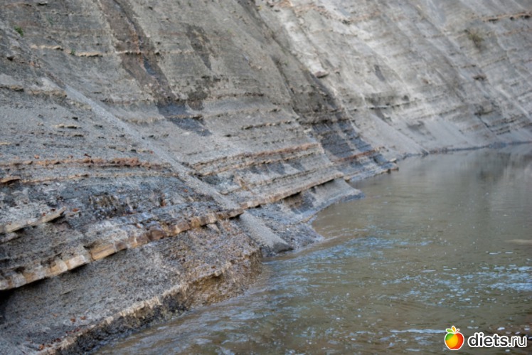 54 ����: �������������