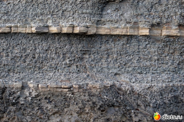 55 ����: �������������