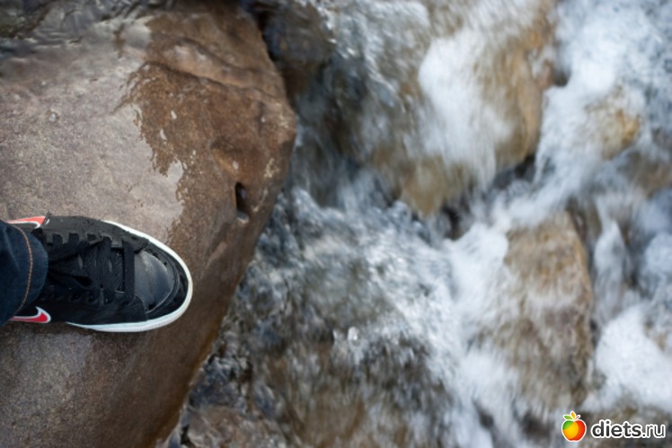 56 ����: �������������