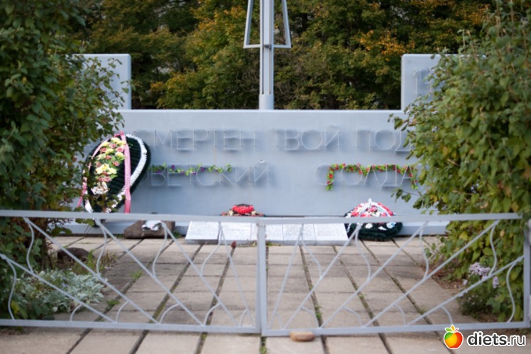 64 ����: �������������