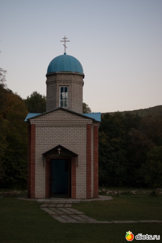 65 ����: �������������