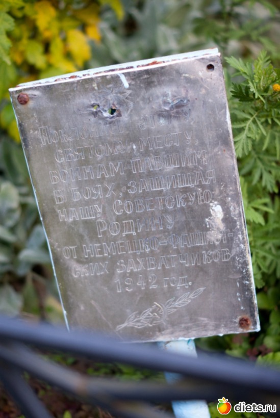 66 ����: �������������