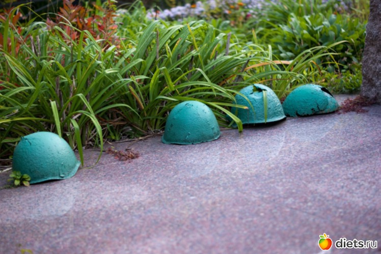 67 ����: �������������