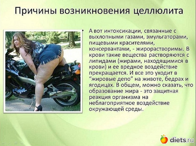 29 ����: ����������