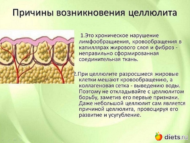 32 ����: ����������