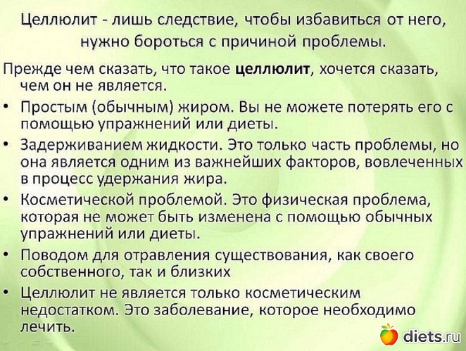 33 ����: ����������