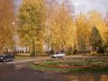 Вот оно настоящее золото - русская природа