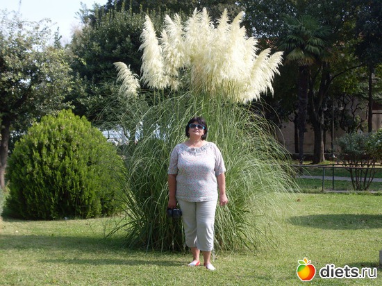 �������� 2010 ���� ��� 112 ��, ������: ��� ���� � ����������