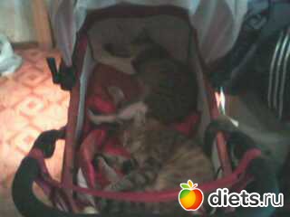 пока свободно .....(Машка и Муся)