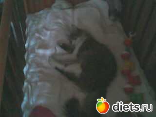 Это прям специально для меня!(муся)