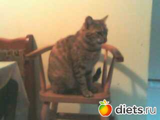 А вот и мне стульчик приобрели!(Машка)