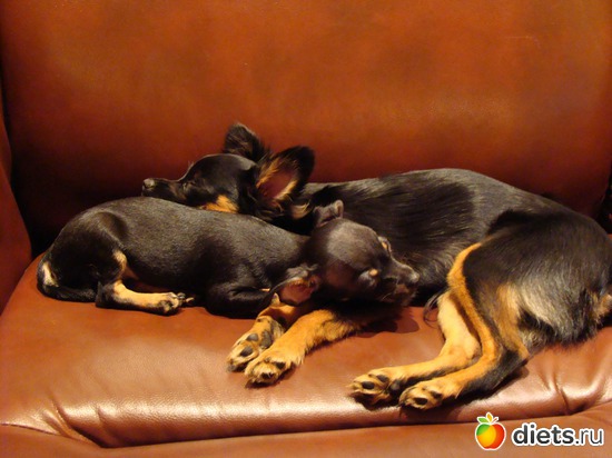 1 ����: ��� �����������)))