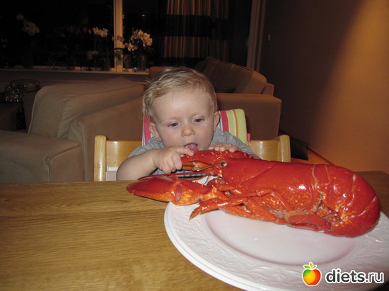 12 ����: ��� ����������