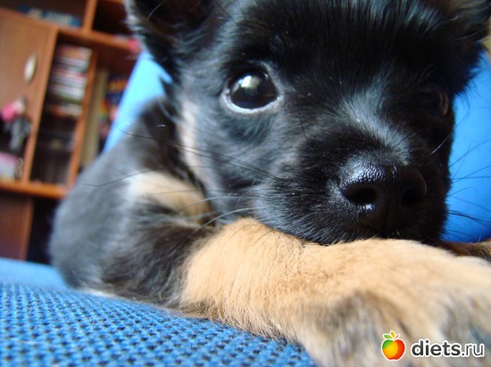 2 ����: ��� �����������)))