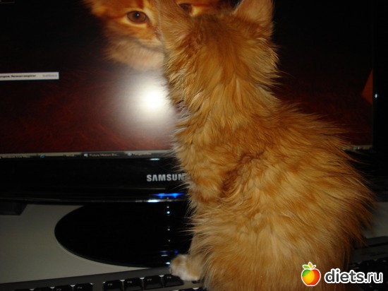 8 ����: Tishbe!