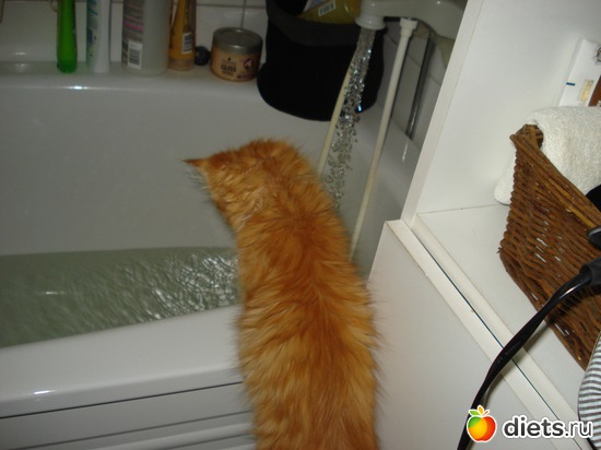 11 ����: Tishbe!