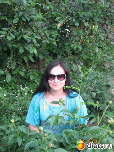 8 ����: � - �������