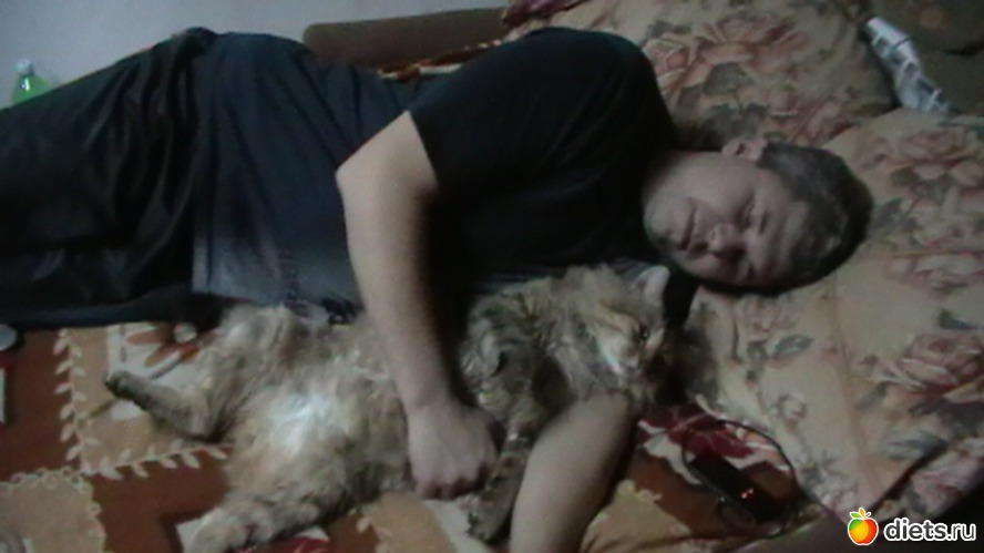 Мой муж и Коол, альбом: мои любимые кисы