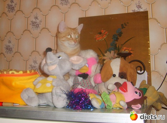 Рыжик,сын Машки,живет у бабули., альбом: мои любимые кисы