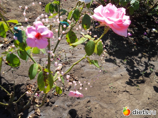 139 фото: Украшения на продажу.