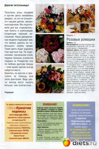 2 фото: Цветы крючком-ЖУРНАЛ