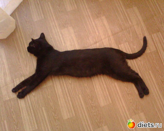 ���, ������: ���� ������