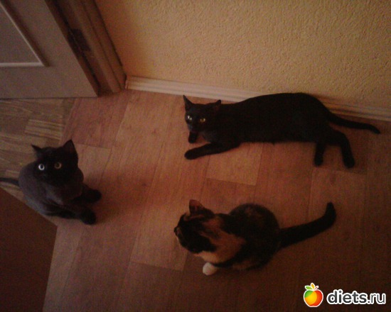 4 ����: ���� ������