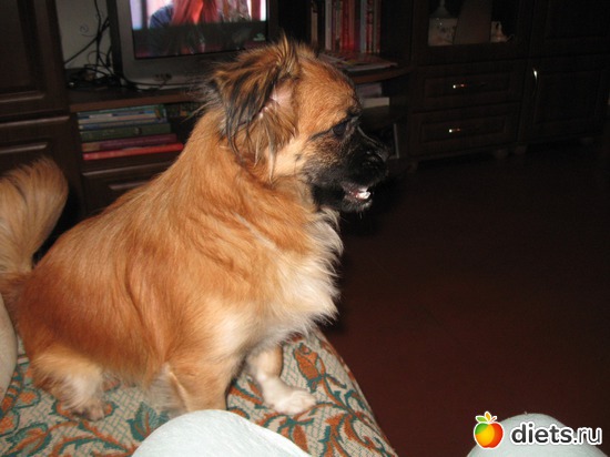 Соня, альбом: Семья