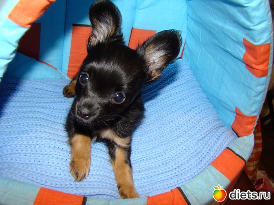 6 ����: ��� �����������)))