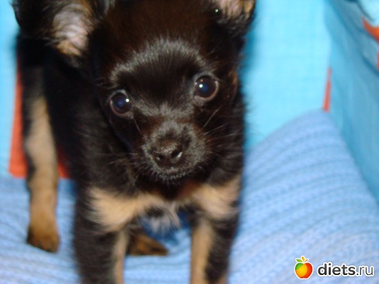 7 ����: ��� �����������)))