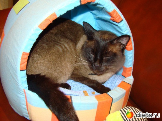 8 ����: ��� �����������)))