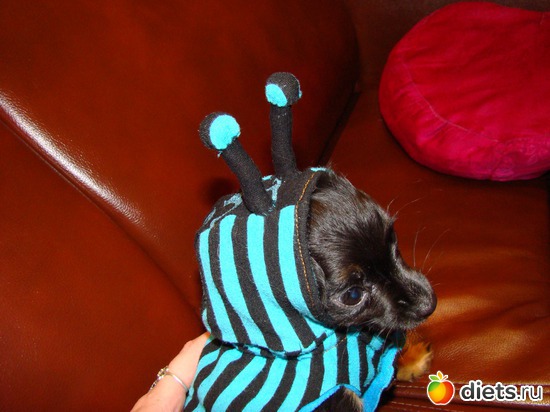 9 ����: ��� �����������)))