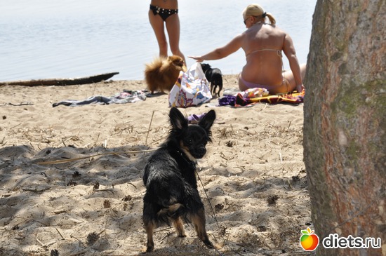 ������))), ������: ������ 2011