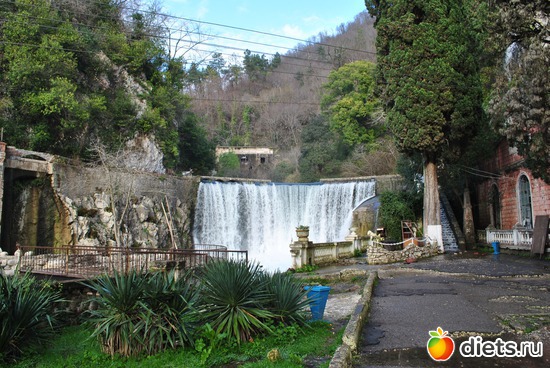 �������. ����� ����. ������-2010, ������: �������