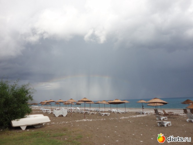 ������ ����� �����, ������: ��� ������� �������� ������� ������