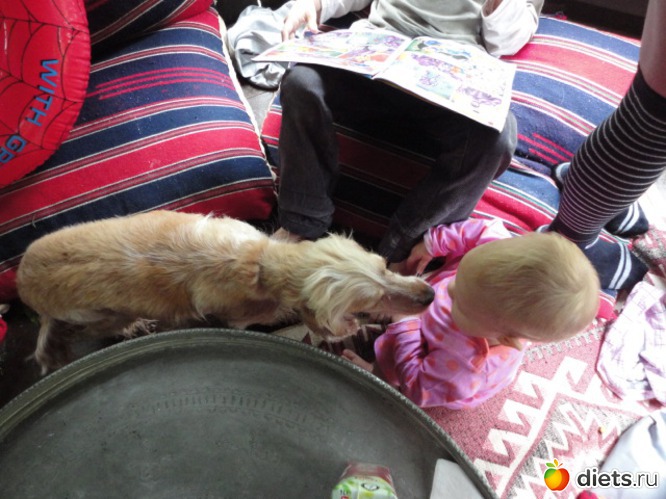 22 ����: ��� ������� �������� ������� ������