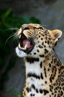 6 из 14. Вес пошел вверх ((((