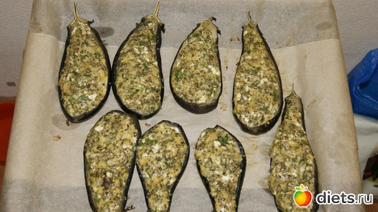 16 ����: 4 ������ ����������� ��������