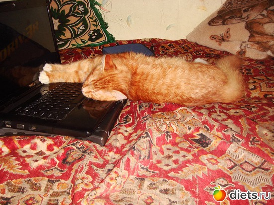 Кузька на сайте знакомств!, альбом: хобби!!!и просто красота!!!