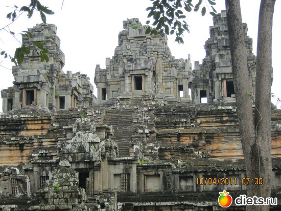 ���� ��������-��� ���� ������ ...., ������: ���� ����������� � ������� � ��������