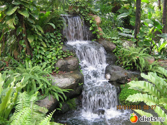 ����� �����������, ������: ���� ����������� � ������� � ��������