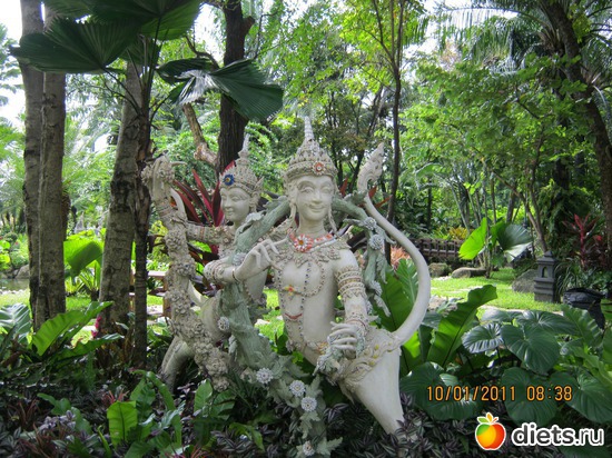 22 ����: ���� ����������� � ������� � ��������