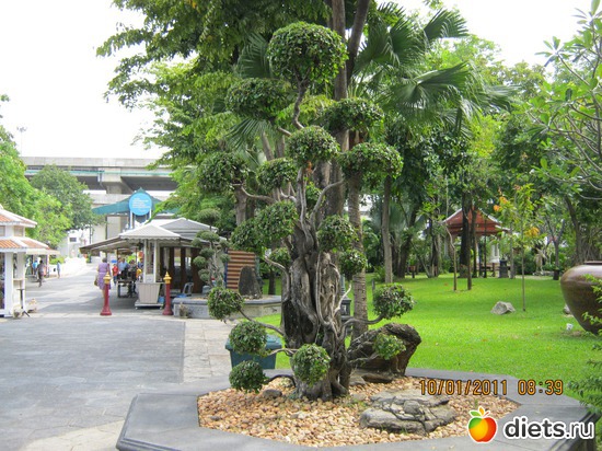 23 ����: ���� ����������� � ������� � ��������