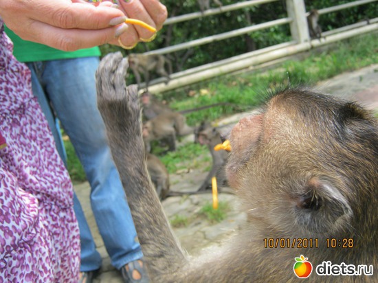 25 ����: ���� ����������� � ������� � ��������