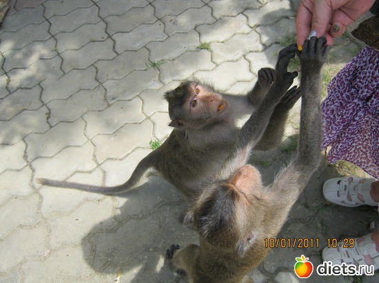 26 ����: ���� ����������� � ������� � ��������