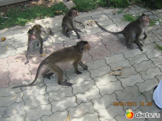 27 ����: ���� ����������� � ������� � ��������